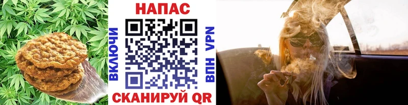 Canna-Cookies марихуана Приморско-Ахтарск