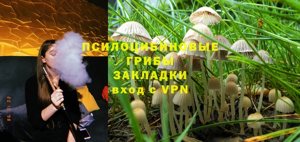 дживик Абинск