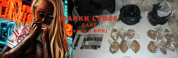 гидра Осинники